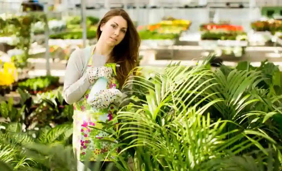 Gartenpflanzen kaufen